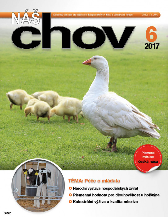 Náš Chov 6 / 2017