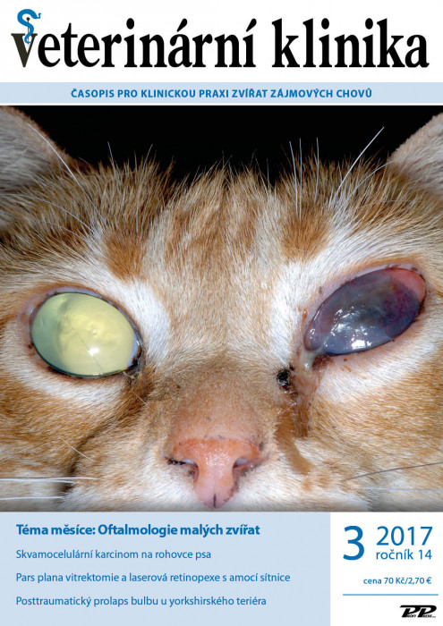 Veterinární klinika 3 / 2017